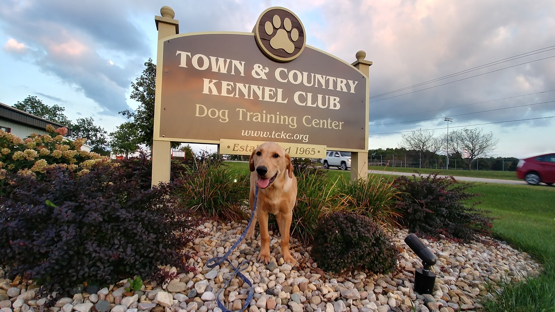 Town & Country Kennel Club