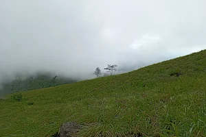 Uragala Mountain Peak | ඌරාගල image