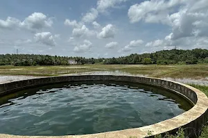 Kumaranellur Vatta kinar(round well) image
