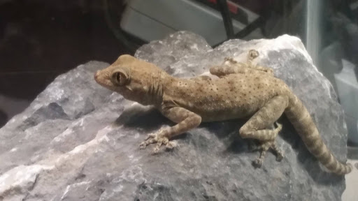 Pet Store «Plattsmouth Pets», reviews and photos, 430 Main St, Plattsmouth, NE 68048, USA