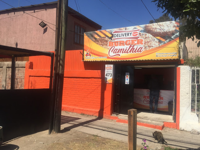 Opiniones de Delivery Burger Camithia en Copiapó - Restaurante