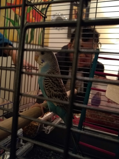 Pet Supply Store «Petco», reviews and photos, 3735 E Castro Valley Blvd, Castro Valley, CA 94552, USA