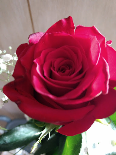 Coffee Shop «Kingsland Coffee Company», reviews and photos, 1001 King Ct, Kingsland, TX 78639, USA