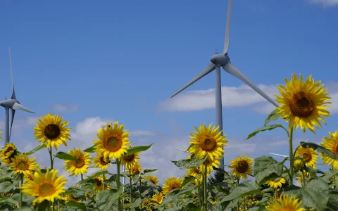 Nunobiki Plateau Wind Farm image
