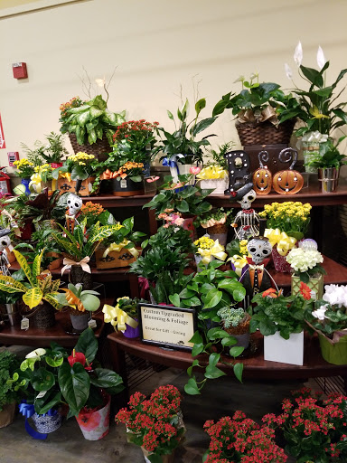 Grocery Store «Randalls», reviews and photos, 12312 Barker Cypress Rd, Cypress, TX 77429, USA