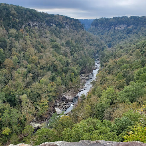 Nature Preserve «Little River Canyon National Preserve», reviews and photos, 4322 Little River Trail NE, Fort Payne, AL 35984, USA
