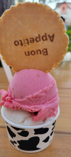 Gelato 101 encinitas image