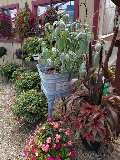 Garden Center «Hildebrant Farmers Market», reviews and photos, 349 Main Ave E, West Fargo, ND 58078, USA