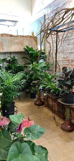 Florist «The Flower Gallery», reviews and photos, 127 N Ashley St, Valdosta, GA 31601, USA