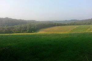 Hillside Orchards image