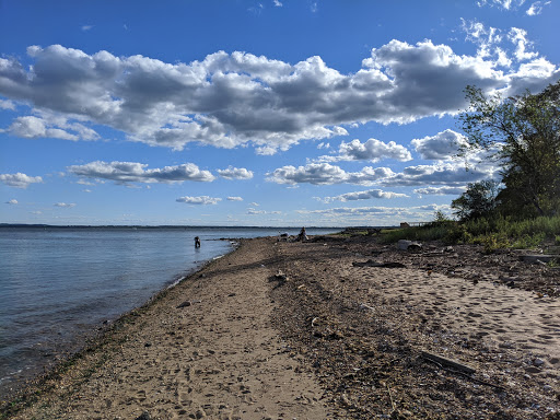 Nature Preserve «North Mount Loretto State Forest», reviews and photos, 6450 Hylan Blvd, Staten Island, NY 10309, USA