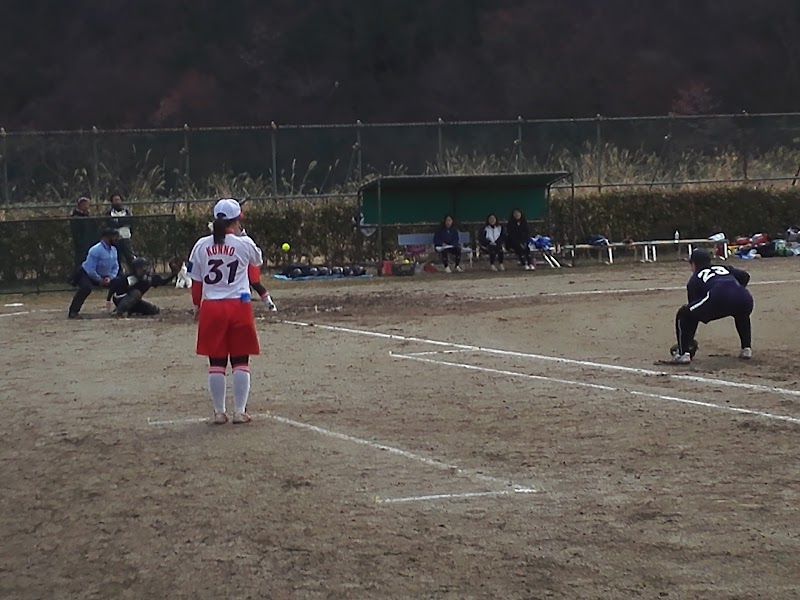 スポーツと文化の森・谷戸沢グラウンド