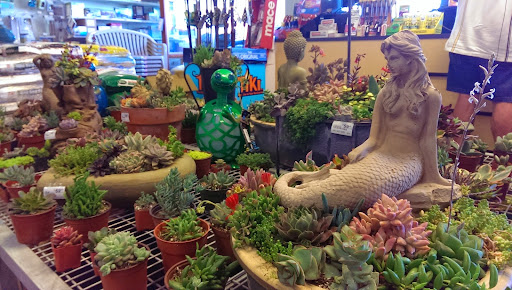 Hardware Store «Ventura Ace Hardware», reviews and photos, 7838 Telegraph Rd, Ventura, CA 93004, USA