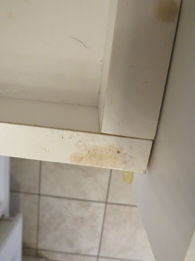 House Cleaning Service «Two Maids & A Mop», reviews and photos, 119 Hollywood Blvd SW #206, Fort Walton Beach, FL 32548, USA