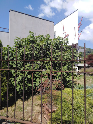 Strada Iuliu Maniu 3A, Baia Mare 430131