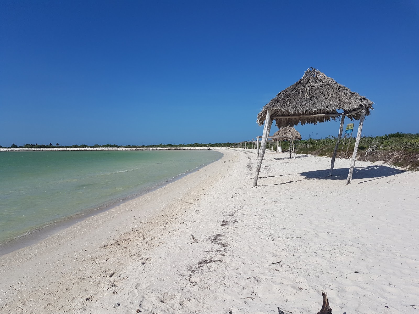 Playa Rio Lagartos的照片 带有碧绿色纯水表面