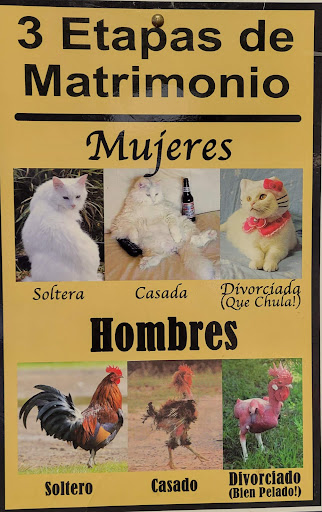 Donut Shop «Shipley Do-Nuts», reviews and photos, 800 S Cage Blvd, Pharr, TX 78577, USA