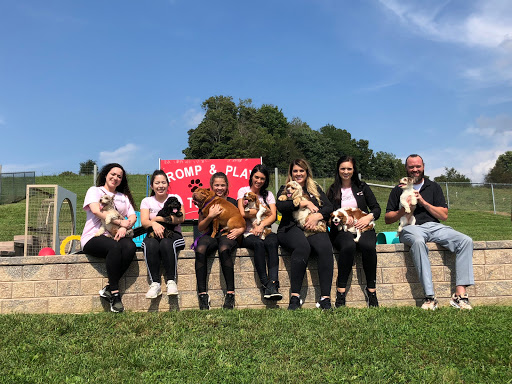 Pet Store «Furry Babies Inc», reviews and photos, 3340 Mall Loop Dr, Joliet, IL 60431, USA