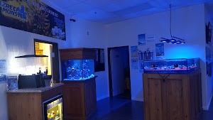 Reef Monsters - photo 44