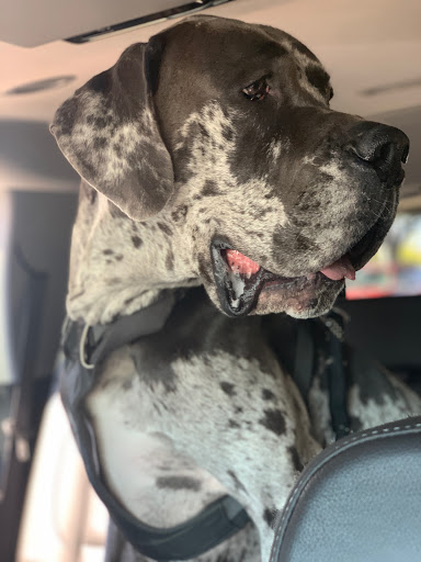 Fast Food Restaurant «Chick-fil-A», reviews and photos, 2835 Ridge Rd, Rockwall, TX 75032, USA