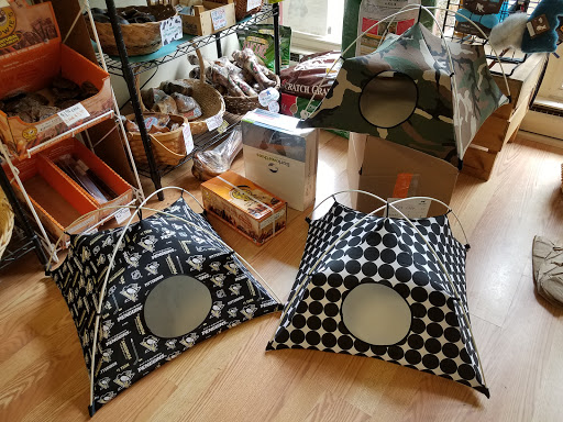 Pet Supply Store «Local Pet», reviews and photos, 415 Gettysburg St #1, Pittsburgh, PA 15206, USA