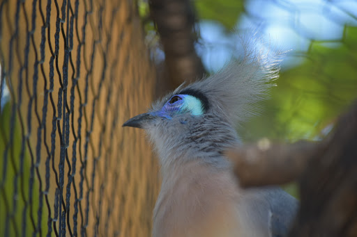 Zoo «Charles Paddock Zoo», reviews and photos, 9100 Morro Rd, Atascadero, CA 93422, USA