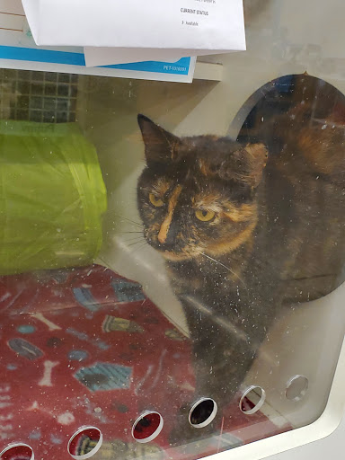 Pet Supply Store «Petco Animal Supplies», reviews and photos, 1419 Towne Square Blvd NW, Roanoke, VA 24019, USA