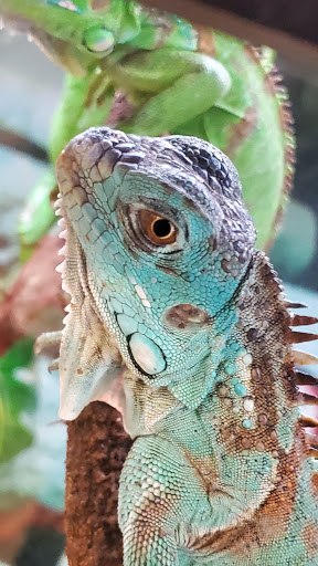 Pet Supply Store «Petco Animal Supplies», reviews and photos, 18578 Coastal Hwy #12, Rehoboth Beach, DE 19971, USA