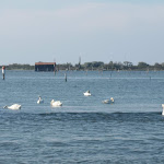 Photo n°2 de l'avis de Francesco.e fait le 18/05/2022 à 12:24 sur le  Rifugio Il Ghebo à Porto Viro
