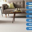 Premier Carpet Cleaning