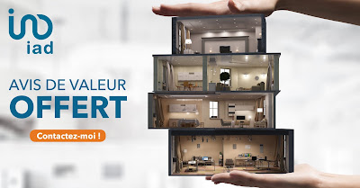 Dimitri Tenaud IAD France conseiller immobilier - Nantes/Vertou et Sud Loire à Vertou