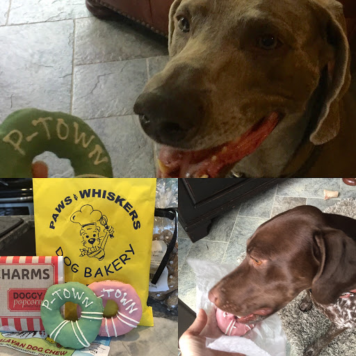 Pet Store «Paws & Whiskers», reviews and photos, 304 Commercial St, Provincetown, MA 02657, USA