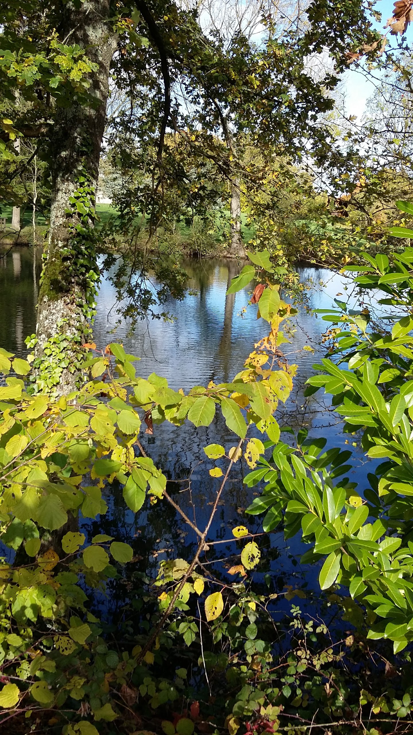 Photo n° 3 de l'avis de Valerie.i fait le 05/11/2017 à 12:21