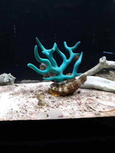 Pet Store «Wet Pets», reviews and photos, 3010 McGehee Rd, Montgomery, AL 36111, USA