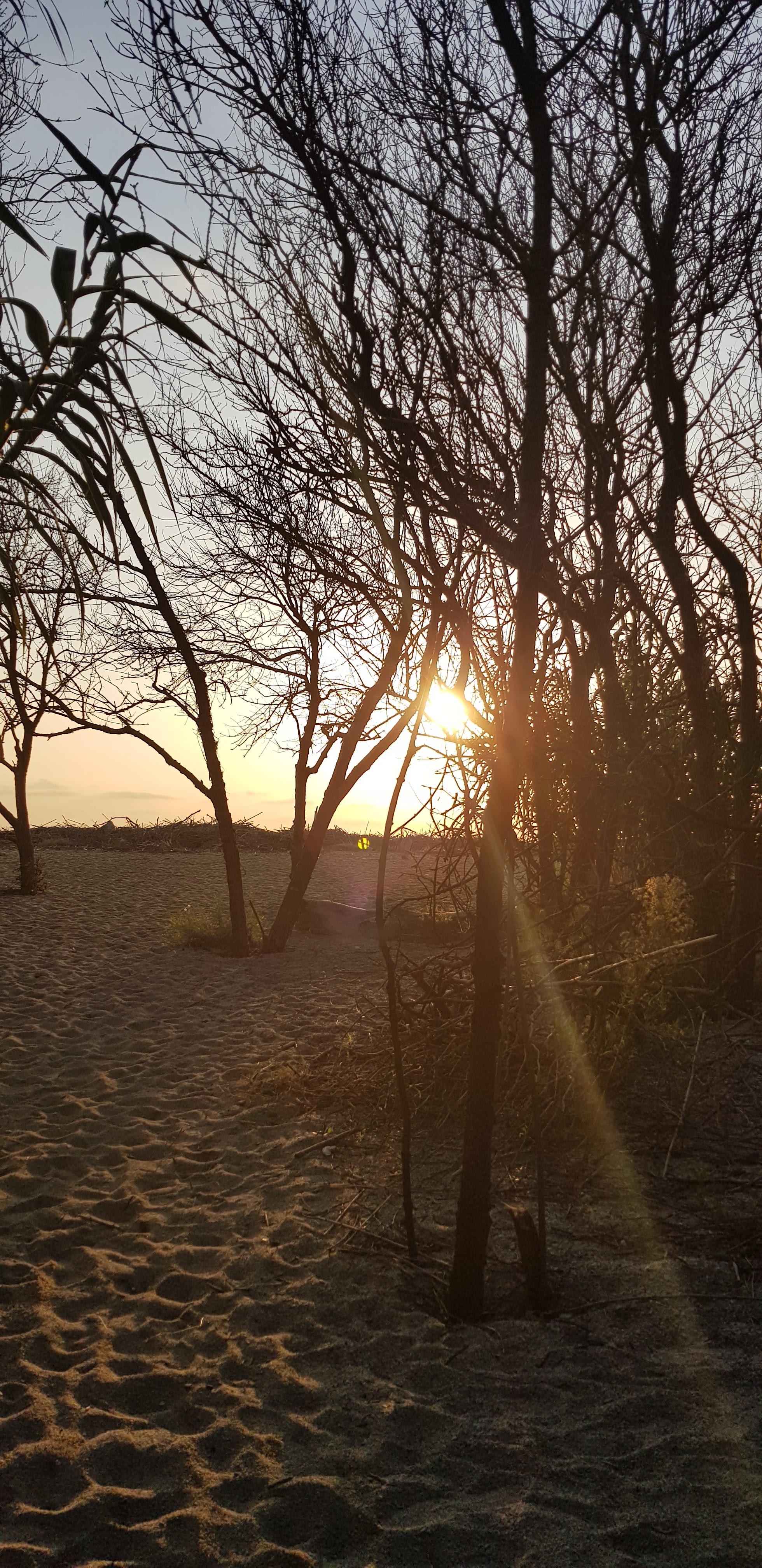 Photo n° 3 de l'avis de Jean-Luc.o fait le 24/09/2019 à 10:09