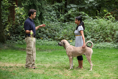 Seattle Family Dog Training