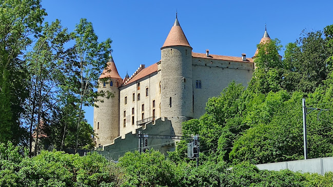Rezensionen über Schloss Grandson in Lausanne - Museum