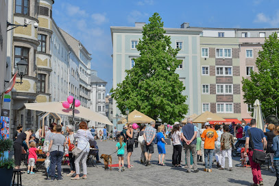 Verein Altstadt Linz