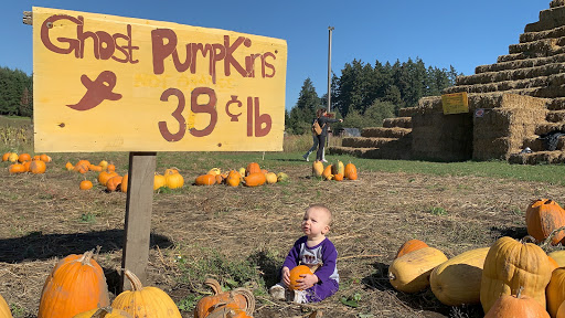 Railroad Company «Flower Farmer», reviews and photos, 2512 N Holly St, Canby, OR 97013, USA