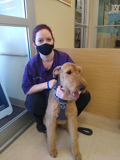 Pet Supply Store «Petco Animal Supplies», reviews and photos, 993 Branson Hills Pkwy, Branson, MO 65616, USA