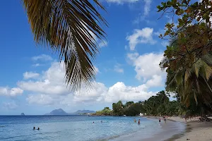 Anse Figuier, Martinique image