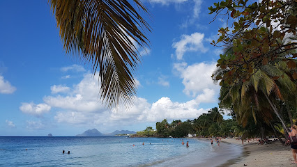 Anse Figuier, Martinique