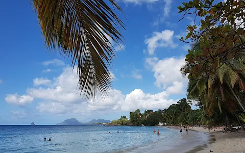 Anse Figuier, Martinique image