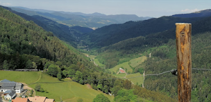 Photo n°9 de La Graine Johé SARL à Le Bonhomme ()