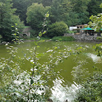 Photo n°1 de l'avis de Miriam.i fait le 10/09/2020 à 06:52 sur le  Waldsee à Freiburg im Breisgau