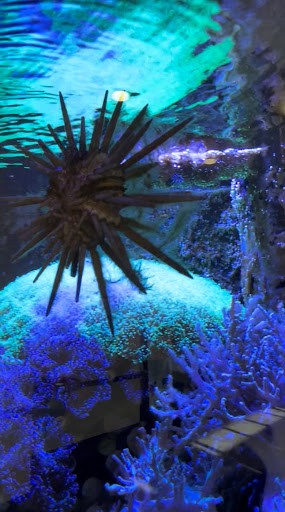 Pet Store «Pets & Such», reviews and photos, 3680 3500 S, West Valley City, UT 84120, USA