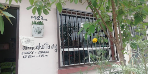 Anacahuita Ecotienda Monterrey