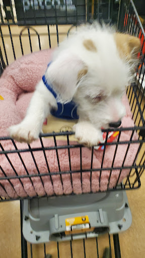 Pet Supply Store «Petco Animal Supplies», reviews and photos, 244 Pioneer Trail, Chaska, MN 55318, USA