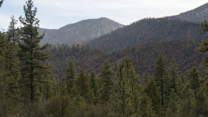 Big Pine Flat Recreational Shooting Site # 2