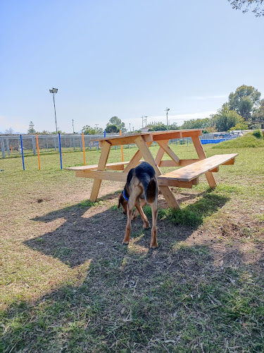 Dog fun park kalamata - Καλαμάτα